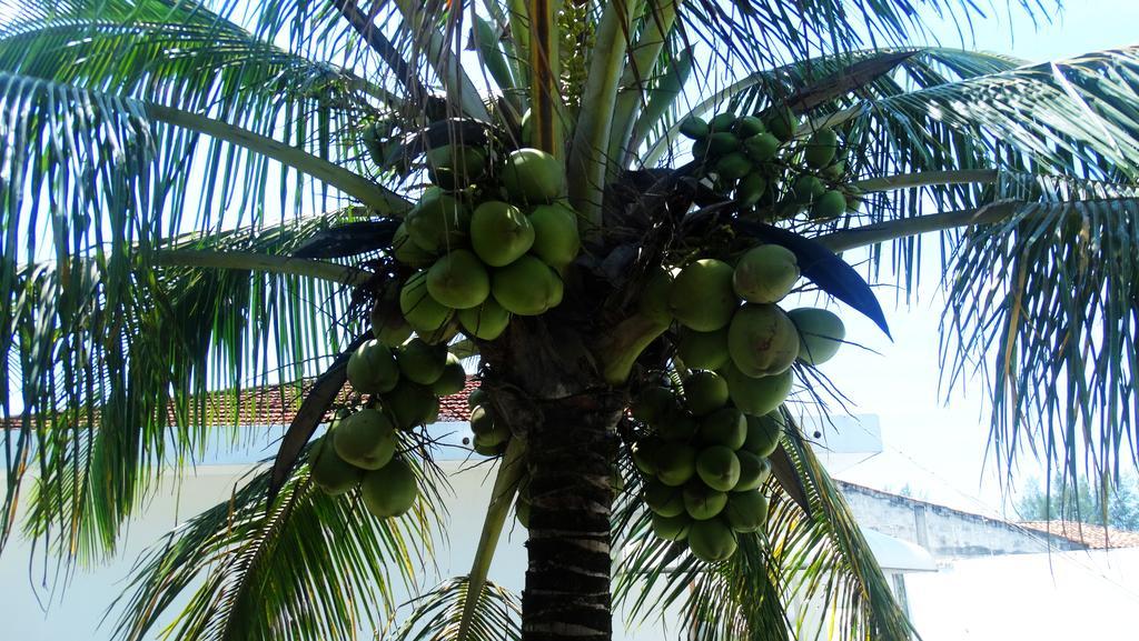 Adriana Beach Pousada Ilha Comprida Exterior foto